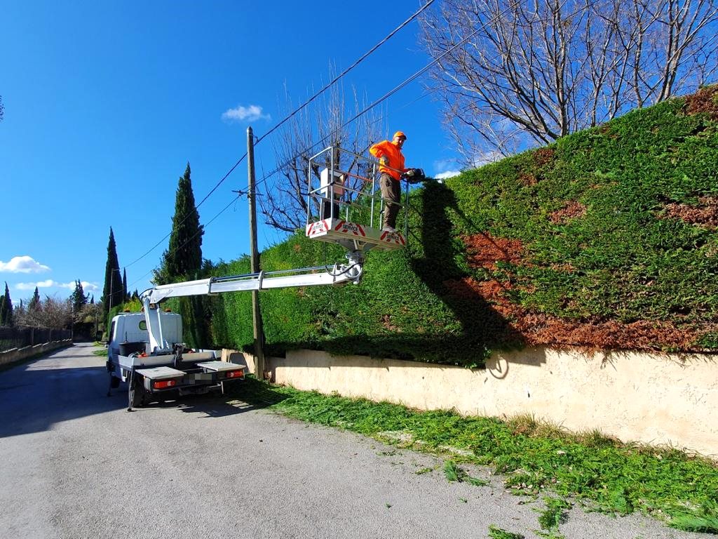 Taille d'une grande haie depuis la nacelle, le long d'une route